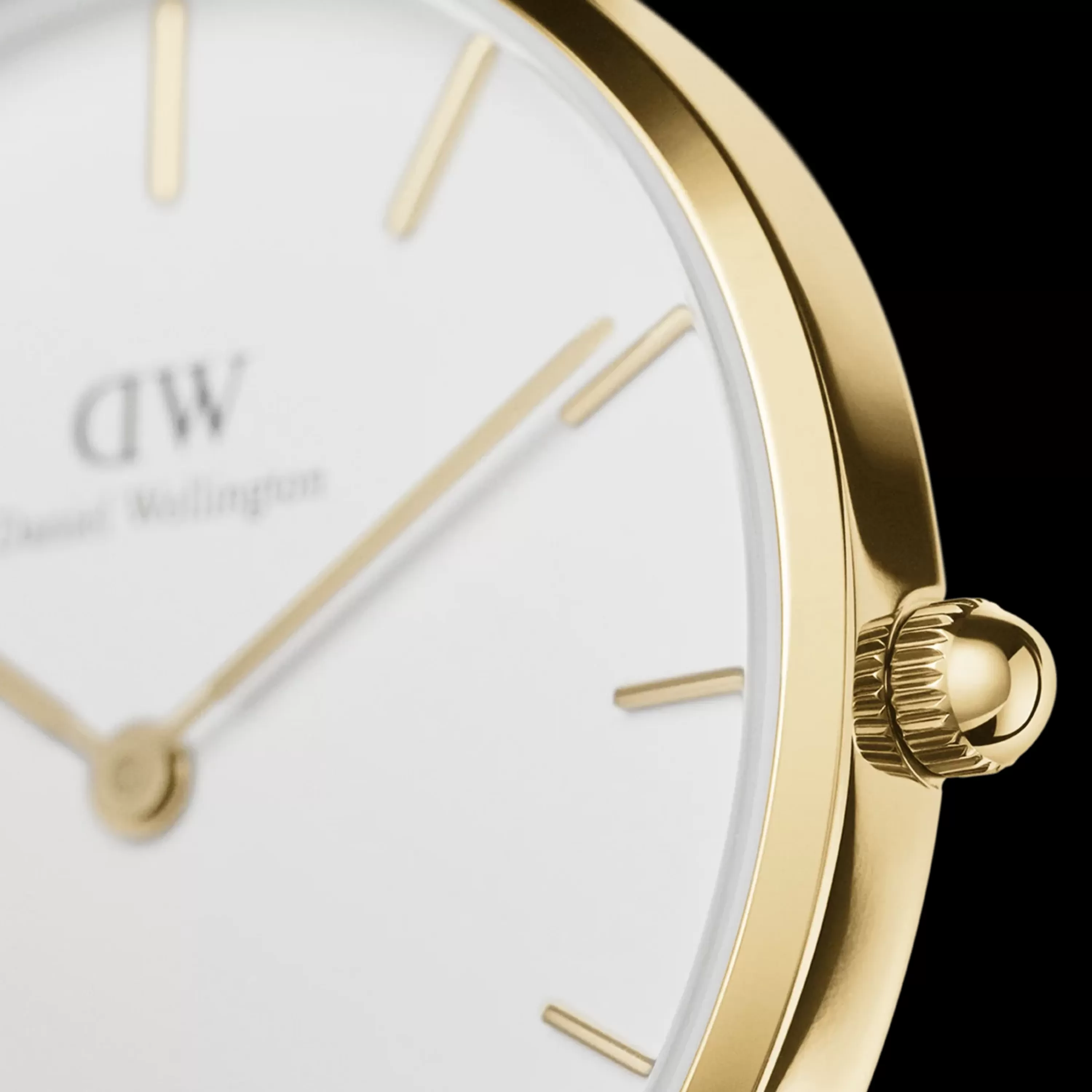 Daniel Wellington Petite St Mawes<Donna Orologi Da Donna